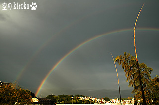 2006.5.20@17F43@̒ɔ@Rainbow Spokes, Rainbow Wheels